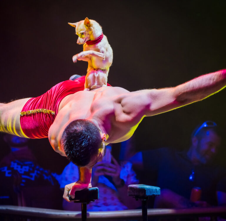 Atomic Saloon Show Spiegelworld