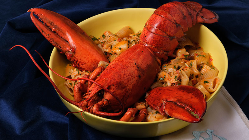 Superfrico Atlantic City - Lobster