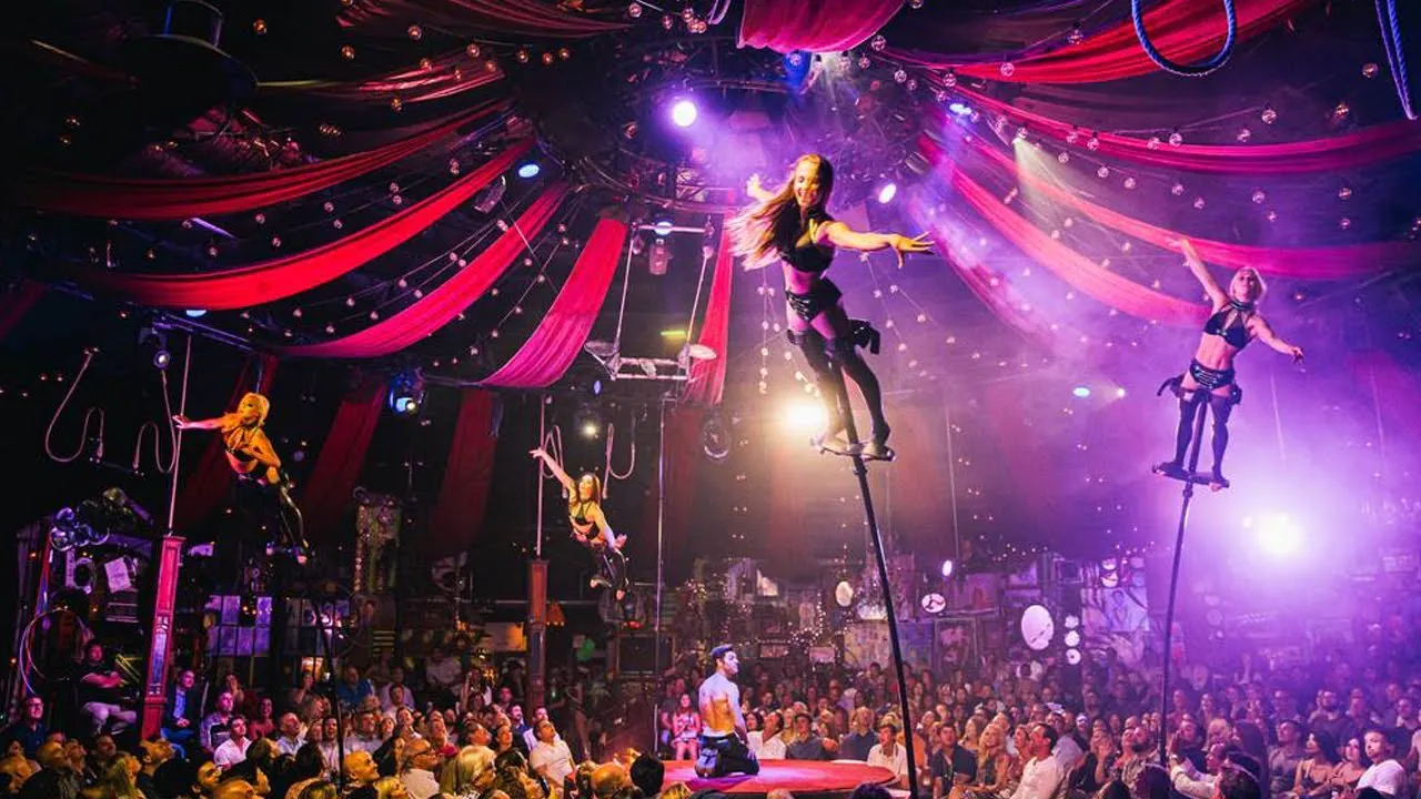 Fancy a Painted Lady? - Spiegelworld